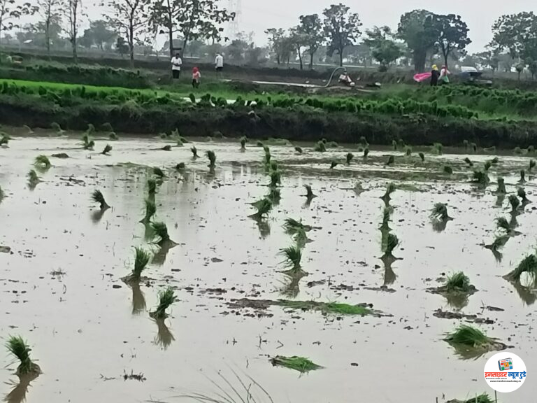 मौदा व रामटेक तालुक्यात धान रोवणीला युद्धस्तरावर होणार सुरुवात