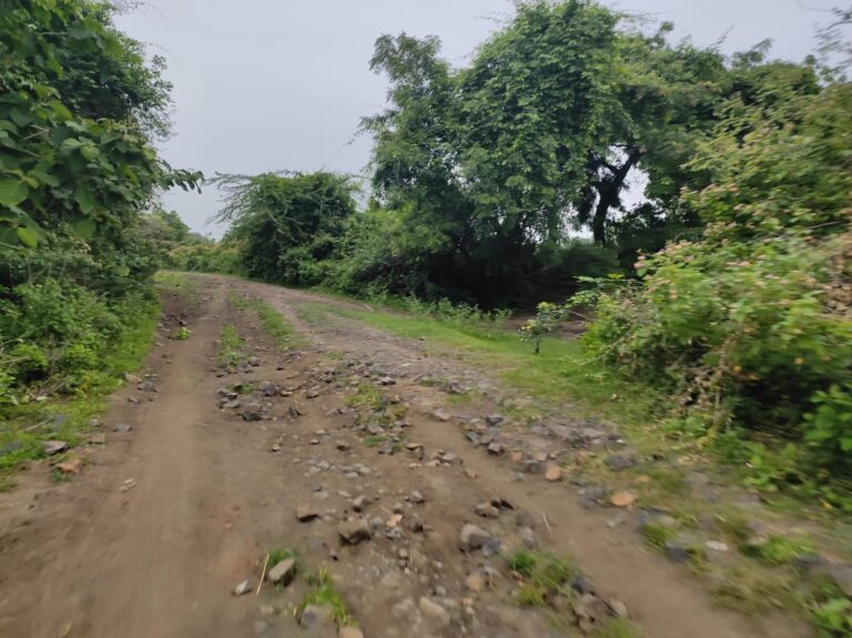 आपटी ते शेळी(महाड) रस्त्याचा मुहूर्त कधी निघणार
