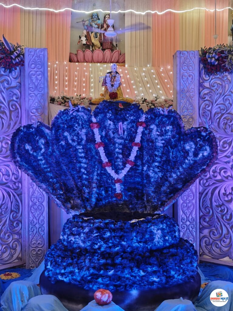झूलोत्सव में हुए नागलोक के दर्शन