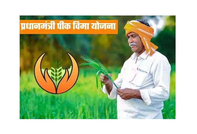 प्रधानमंत्री पीक विमा योजना
