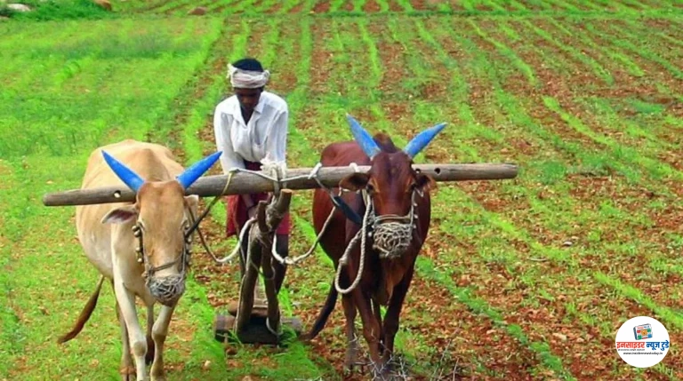राज्यांतर्गत पीकस्पर्धा सन 2025-26 साठी अर्ज करण्याचे आवाहन