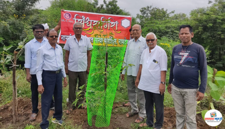 वृक्षारोपण हाच पर्यावरण असमतोलावर उपाय