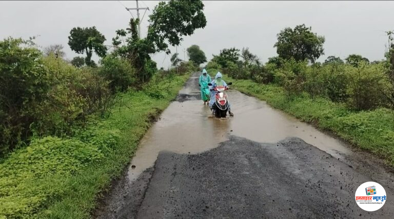 सावनेर ते सरई रोडची खड्यांनी झाली दुर्दशा