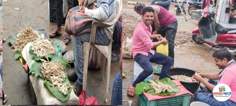 जंगलातील (रान मेवा) मशरूमसाठी आदिवासीयांची भटकंती