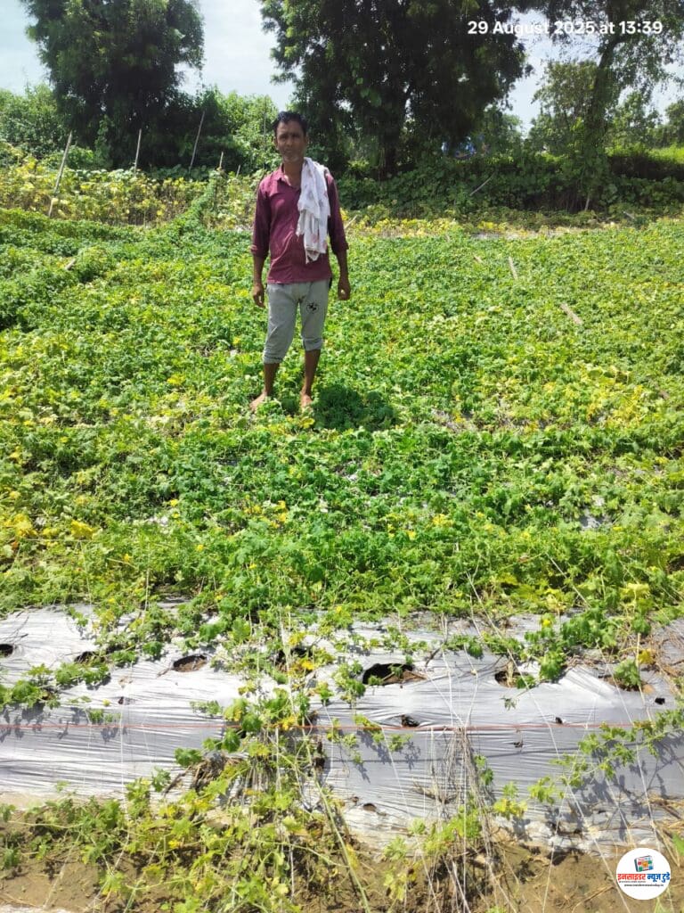 मेघ गर्जनेसह मुसळधार पावसाने कारले गेले पाण्याखाली शेतकऱ्यांचे नुकसान भरपाई देण्याची मागणी