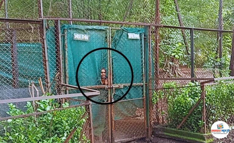 वाघाच्या पिंजऱ्यात उडी घेणाऱ्या तरुणाचा जीव वाचला, प्रशासनासमोर सुरक्षेचे आव्हान