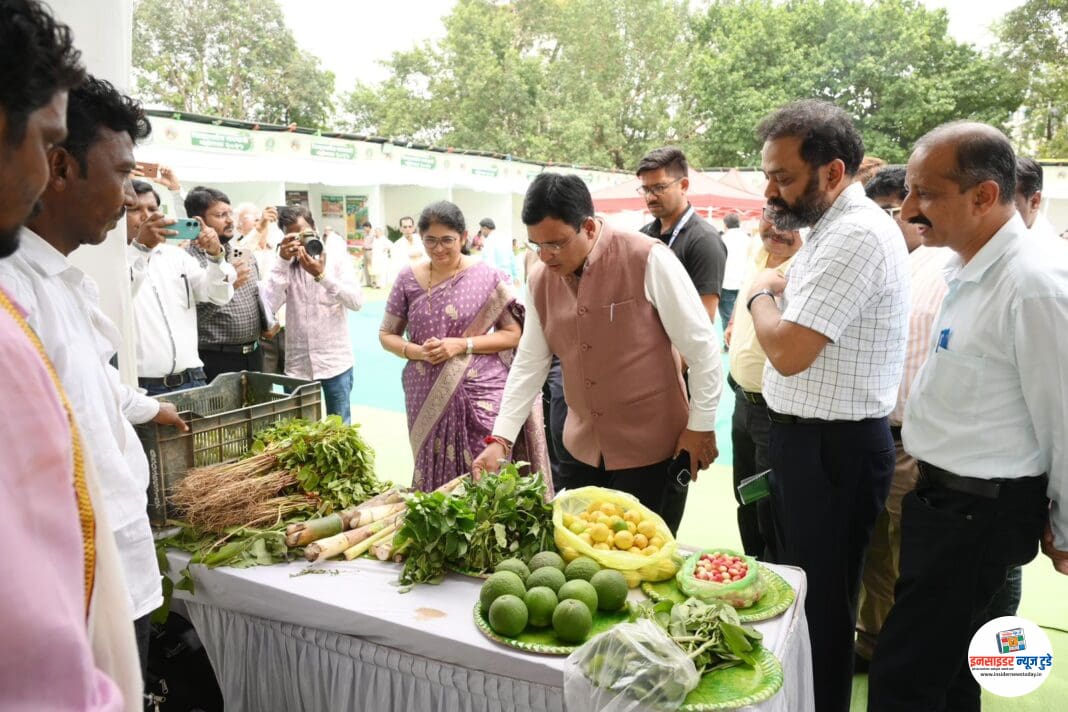 पारंपारिक रानभाज्यांची चव नव्या पिढीपर्यंत पोहचण्याची आवश्यकता – कृषी राज्यमंत्री ॲड. आशिष जयस्वाल पारंपारिक रानभाज्यांची चव नव्या पिढीपर्यंत पोहचण्याची आवश्यकता – कृषी राज्यमंत्री ॲड. आशिष जयस्वाल