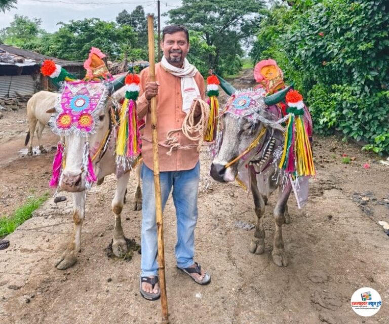 कामठी तालुक्यात बैल पोळा सण शेतकऱ्यांकडून उत्साहात साजरा