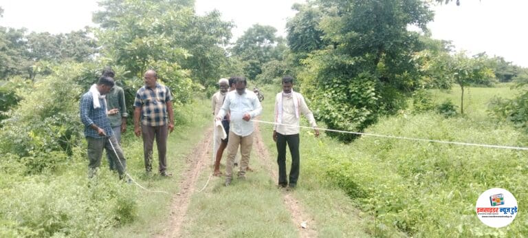 पांदणरस्ते अतिक्रमण मुक्त करुन दुतर्फा झाडे लावण्याची मोहिम