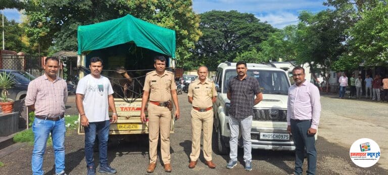 बकरी चोरी करणाऱ्या आरोपींना अटक; मौदा पोलिसांची अवघ्या ५ तासात मोठी कामगिरी