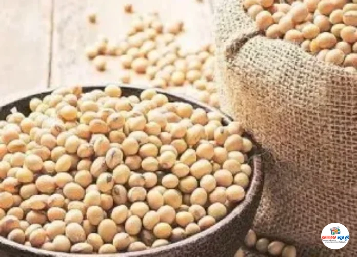 soyabean-crushing-1-300x300_copy_800x576