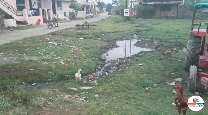 बर्वे लेआऊट येथे सुवीधांसाठी नगर पलीकेला विसर पडला की! वेळ नाही ? बर्वे लेआऊट येथे सुवीधांसाठी नगर पलीकेला विसर पडला की! वेळ नाही ?