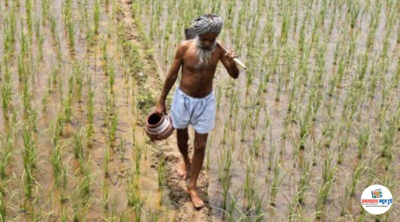 सूखे की मार और सरकार की बेरुख़ी सूखे की मार और सरकार की बेरुख़ी