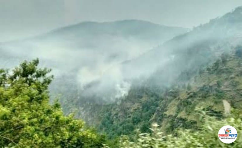 वन संसाधन मूल्यांकन में भारत नौवें स्थान पर नागपूर वन संसाधन मूल्यांकन में भारत नौवें स्थान पर नागपूर
