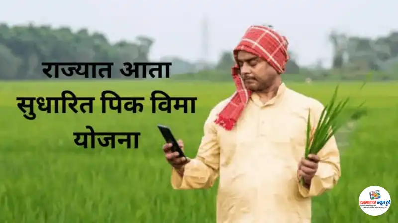 रब्बीसाठी सुधारित पीक विमा योजना; 15 डिसेंबरपूर्वी सहभागी व्हा रब्बीसाठी सुधारित पीक विमा योजना; 15 डिसेंबरपूर्वी सहभागी व्हा