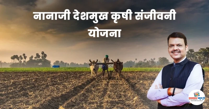 नानाजी देशमुख कृषी संजीवनी प्रकल्प टप्पा-2 अंतर्गत मौदा तालुक्यातील महिला बचत गटांसाठी सुवर्णसंधी नानाजी देशमुख कृषी संजीवनी प्रकल्प टप्पा-2 अंतर्गत मौदा तालुक्यातील महिला बचत गटांसाठी सुवर्णसंधी