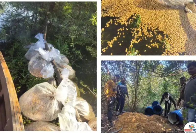 जवाहरनगर पोलिसांचा अवैध हातभट्ट्यांवर मोठा प्रहार; ७ लाखांचा मुद्देमाल जप्त, तिघांवर गुन्हे दाखल जवाहरनगर पोलिसांचा अवैध हातभट्ट्यांवर मोठा प्रहार; ७ लाखांचा मुद्देमाल जप्त, तिघांवर गुन्हे दाखल