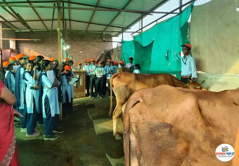 विद्यार्थ्यांनी केले गौशाला निरीक्षण, गोठ्याला दिली क्षेत्रभेट विद्यार्थ्यांनी केले गौशाला निरीक्षण, गोठ्याला दिली क्षेत्रभेट