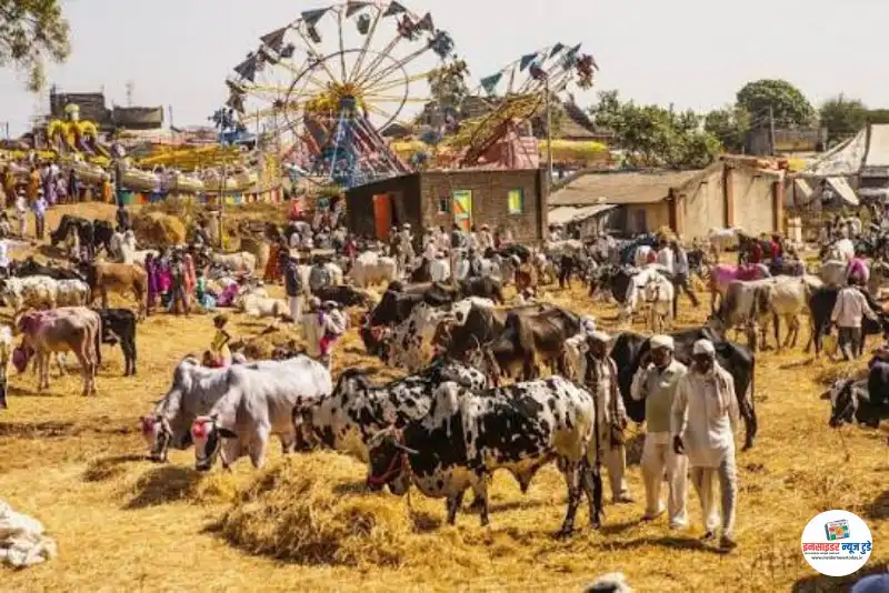 जिल्हास्तरीय पशुप्रदर्शनीचे 26 डिसेंबर रोजी आयोजन जिल्हास्तरीय पशुप्रदर्शनीचे 26 डिसेंबर रोजी आयोजन