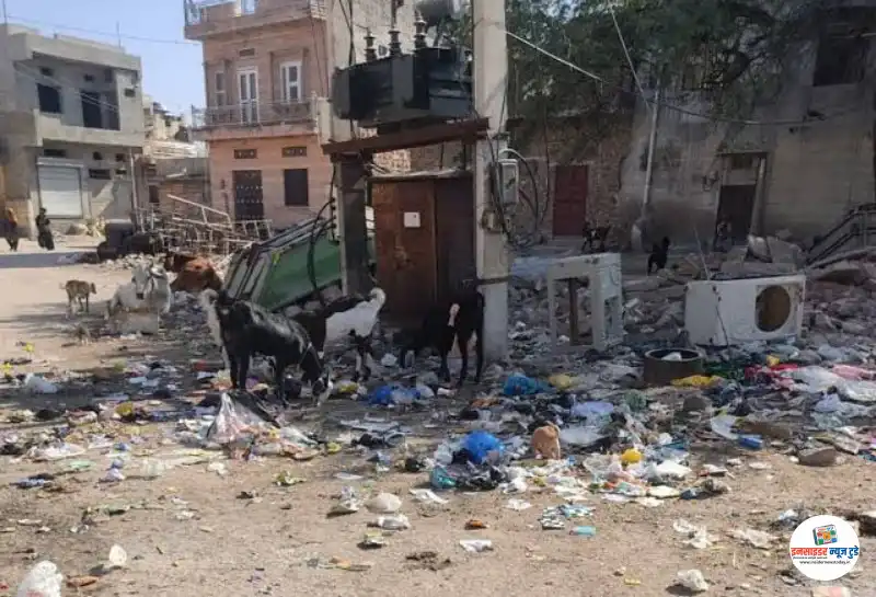 शहर में गंदगी का राज : ट्रांसफार्मरों के नीचे कचरे का अंबार शहर में गंदगी का राज : ट्रांसफार्मरों के नीचे कचरे का अंबार