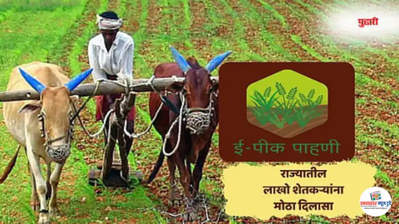 मुदतीत नोंद न झालेल्या पिकांची ऑफलाईन पाहणी मुदतीत नोंद न झालेल्या पिकांची ऑफलाईन पाहणी