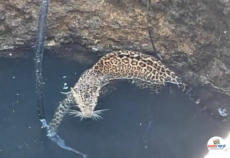 sagar-2_1615020931_copy_800x550