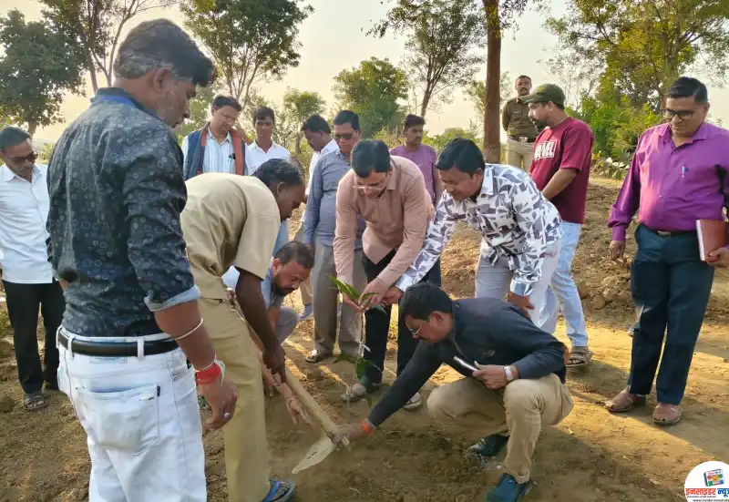 राज्यमंत्र्यांच्या हस्ते महादुला स्मशानभुमीत फळझाडांचे वृक्षारोपण राज्यमंत्र्यांच्या हस्ते महादुला स्मशानभुमीत फळझाडांचे वृक्षारोपण