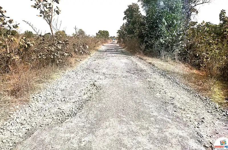 नागरिक त्रस्त: घोटी-सालई रस्ता दयनीय नागरिक त्रस्त: घोटी-सालई रस्ता दयनीय