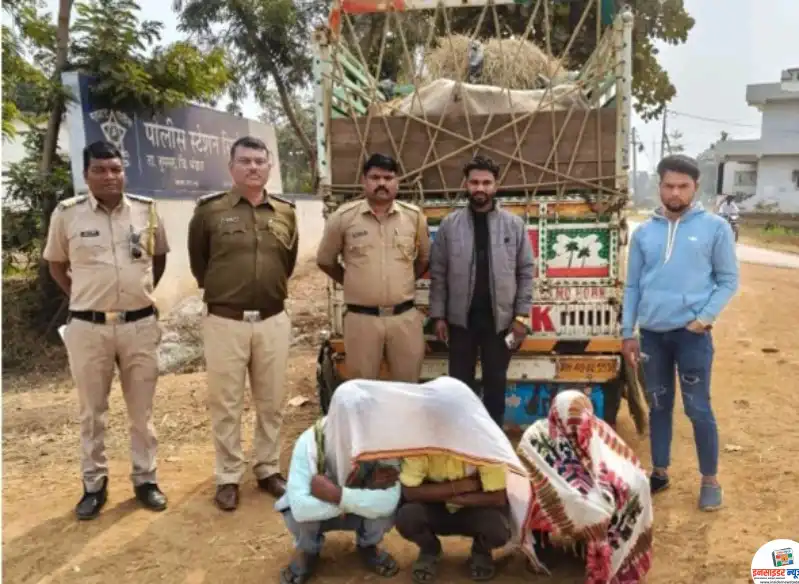 प्राण्यांना क्रूर वागणूक व अवैध गोवंश वाहतूक करणाऱ्यांवर सिहोरा पोलिसांचा दणका; ५.६० लाखांचा मुद्देमाल जप्त प्राण्यांना क्रूर वागणूक व अवैध गोवंश वाहतूक करणाऱ्यांवर सिहोरा पोलिसांचा दणका; ५.६० लाखांचा मुद्देमाल जप्त