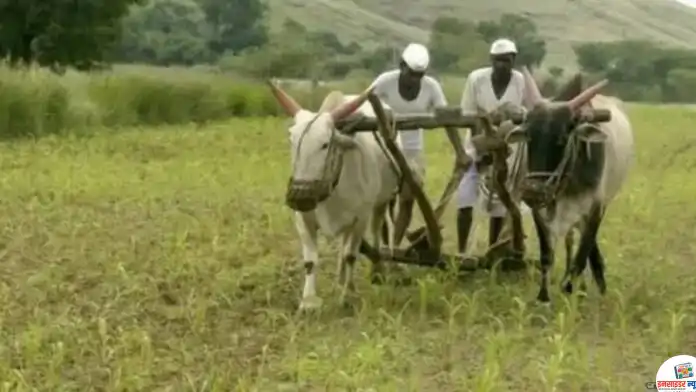 Farmer