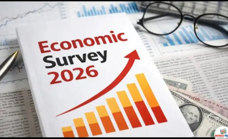 survey