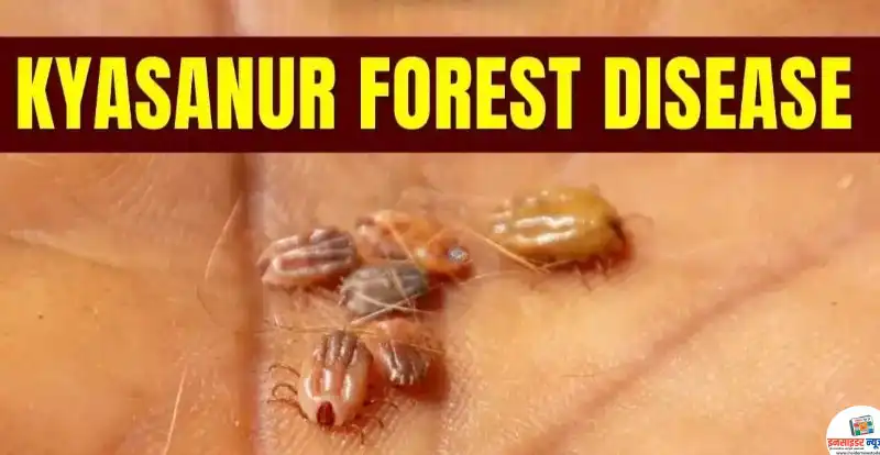 मंकी फिव्हरविरुद्ध महाराष्ट्राला मिळणार स्वदेशी सुरक्षा कवच मंकी फिव्हरविरुद्ध महाराष्ट्राला मिळणार स्वदेशी सुरक्षा कवच