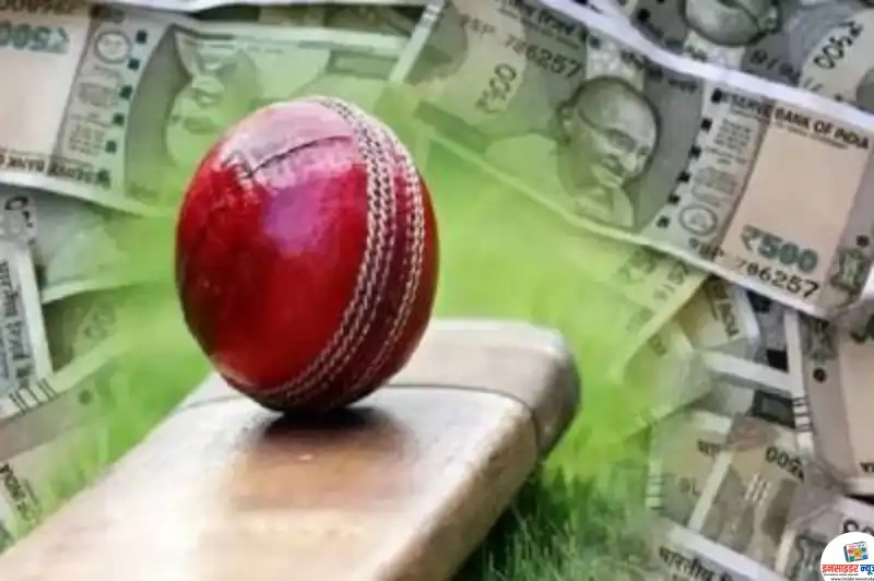 cricket