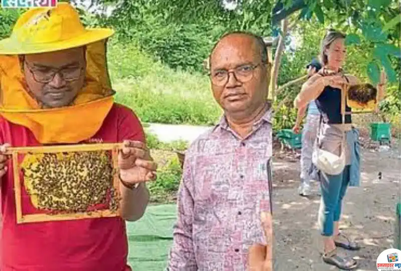 विशेष लेख… अंधारवाडीत विकासाचा उजेड,मधाच्या गावामुळे मिळाली नवी ओळख विशेष लेख… अंधारवाडीत विकासाचा उजेड,मधाच्या गावामुळे मिळाली नवी ओळख