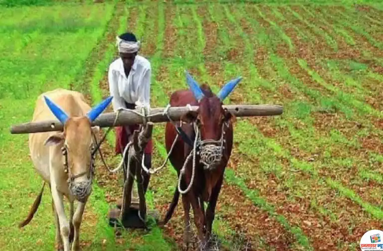 कर्जमुक्ति योजना किसानों के साथ छल