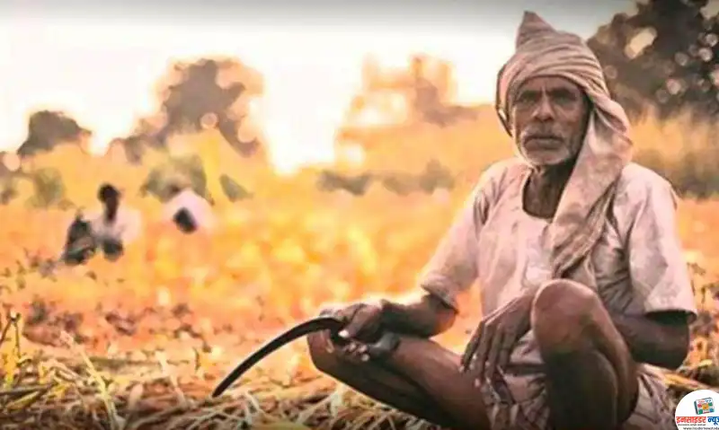 जिल्ह्यातील लाखो शेतकऱ्यांचे कर्जमाफीच्या निर्णयाकडे लक्ष ! जिल्ह्यातील लाखो शेतकऱ्यांचे कर्जमाफीच्या निर्णयाकडे लक्ष !