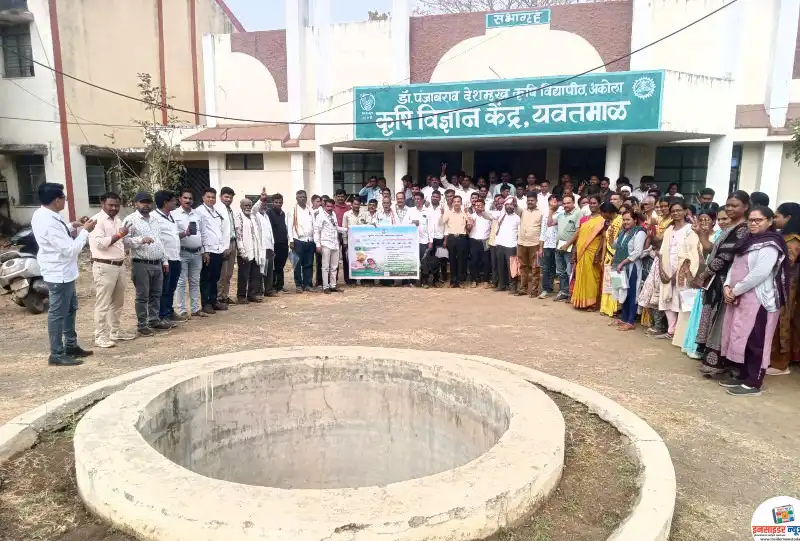 आळंबी सारख्या पूरक व्यवसायातून शेतकऱ्यांच्या आर्थिक उत्पादनात वाढ निश्चित आळंबी सारख्या पूरक व्यवसायातून शेतकऱ्यांच्या आर्थिक उत्पादनात वाढ निश्चित
