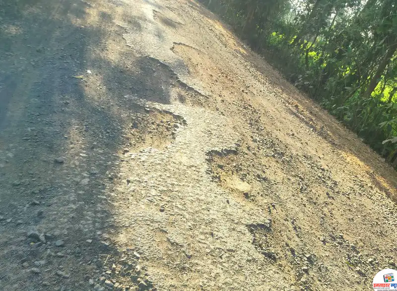 अर्जुनी-मोरगाव ते बोरी मार्गाच्या रस्ते विकासात भर केव्हा पडणार? नागरिकांचा सवाल अर्जुनी-मोरगाव ते बोरी मार्गाच्या रस्ते विकासात भर केव्हा पडणार? नागरिकांचा सवाल