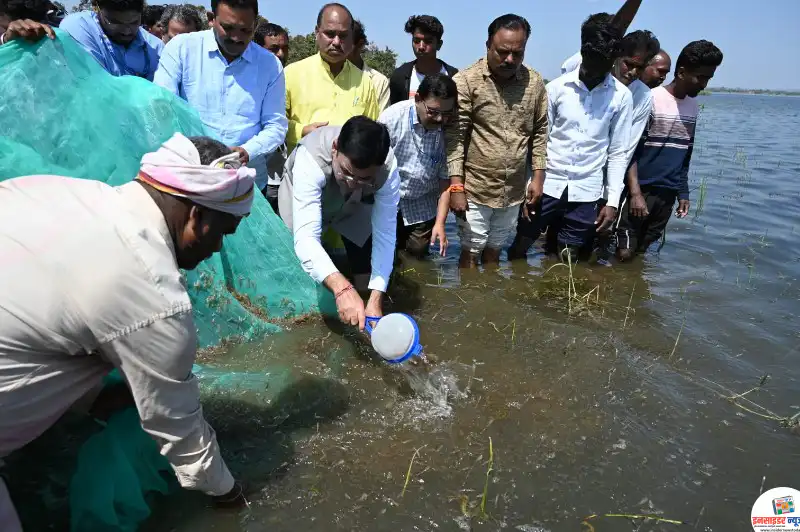 गोड्या पाण्यातील झिंगा संवर्धनाच्या महत्त्वाकांक्षी उपक्रम गोड्या पाण्यातील झिंगा संवर्धनाच्या महत्त्वाकांक्षी उपक्रम