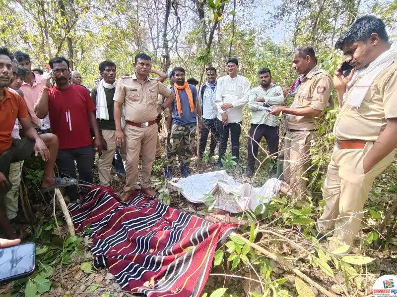 बाम्पेवाडा हादरले! मोहफुले वेचायला गेलेल्या ५० वर्षीय व्यक्तीचा वाघाच्या हल्ल्यात मृत्यू बाम्पेवाडा हादरले! मोहफुले वेचायला गेलेल्या ५० वर्षीय व्यक्तीचा वाघाच्या हल्ल्यात मृत्यू