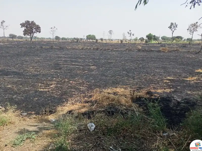 हिवरा ( शिवारात) व मौदा तालुक्यातील इतरही गावात शॉर्ट सर्किटने आग लागल्याने शेतकऱ्यांचे गहू पीक जळाल्याने आर्थिक नुकसान हिवरा ( शिवारात) व मौदा तालुक्यातील इतरही गावात शॉर्ट सर्किटने आग लागल्याने शेतकऱ्यांचे गहू पीक जळाल्याने आर्थिक नुकसान