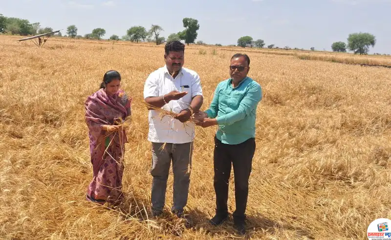 चाचेर परिसरातील गारपीटग्रस्त शेतकऱ्यांना आर्थिक मोबदला द्या – सरपंचा लुंबिनी महेश कलारे चाचेर परिसरातील गारपीटग्रस्त शेतकऱ्यांना आर्थिक मोबदला द्या – सरपंचा लुंबिनी महेश कलारे