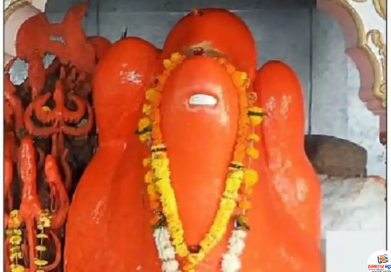 मानेवाडा येथील सेवादल नगरात कुँवारा भिमालपेन जन्मोत्सव २ एप्रीलपासून मानेवाडा येथील सेवादल नगरात कुँवारा भिमालपेन जन्मोत्सव २ एप्रीलपासून