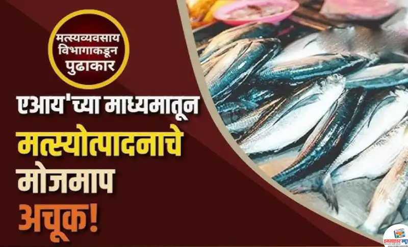 एआय’च्या माध्यमातून आता मत्स्योत्पादनाचे मोजमाप झाले अचूक एआय’च्या माध्यमातून आता मत्स्योत्पादनाचे मोजमाप झाले अचूक