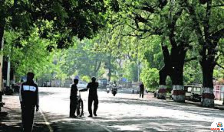 नागपुर में हरियाली की कमी: 30% लक्ष्य से काफी पीछे शहर