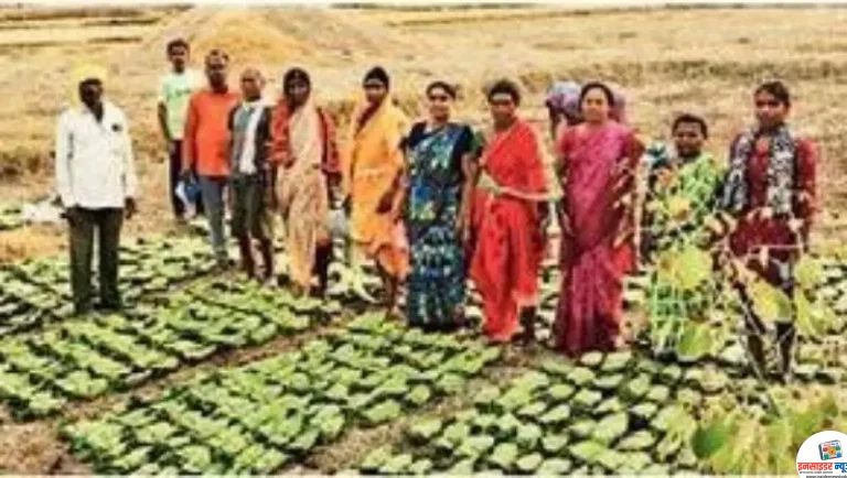 जंगलातील हिरवे सोने तेंदुपत्ता मजुरांसाठी जीवनाधार