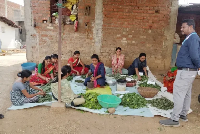 विषमुक्त शेतीचा संकल्प; दशपर्णी अर्क
