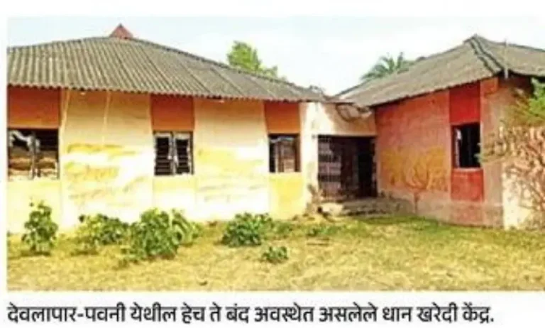 धान खरेदीत मोठा घोटाळा? हजारो शेतकरी हमीभावापासून वंचित