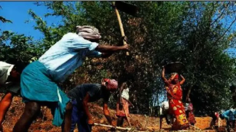 कामावरून तर काढलेच; हक्काची मजूरी तरी द्या हो..