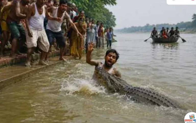 सरयू नदी में नहाने उतरा युवक तो जिंदा खींच ले गया मगरमच्छ…